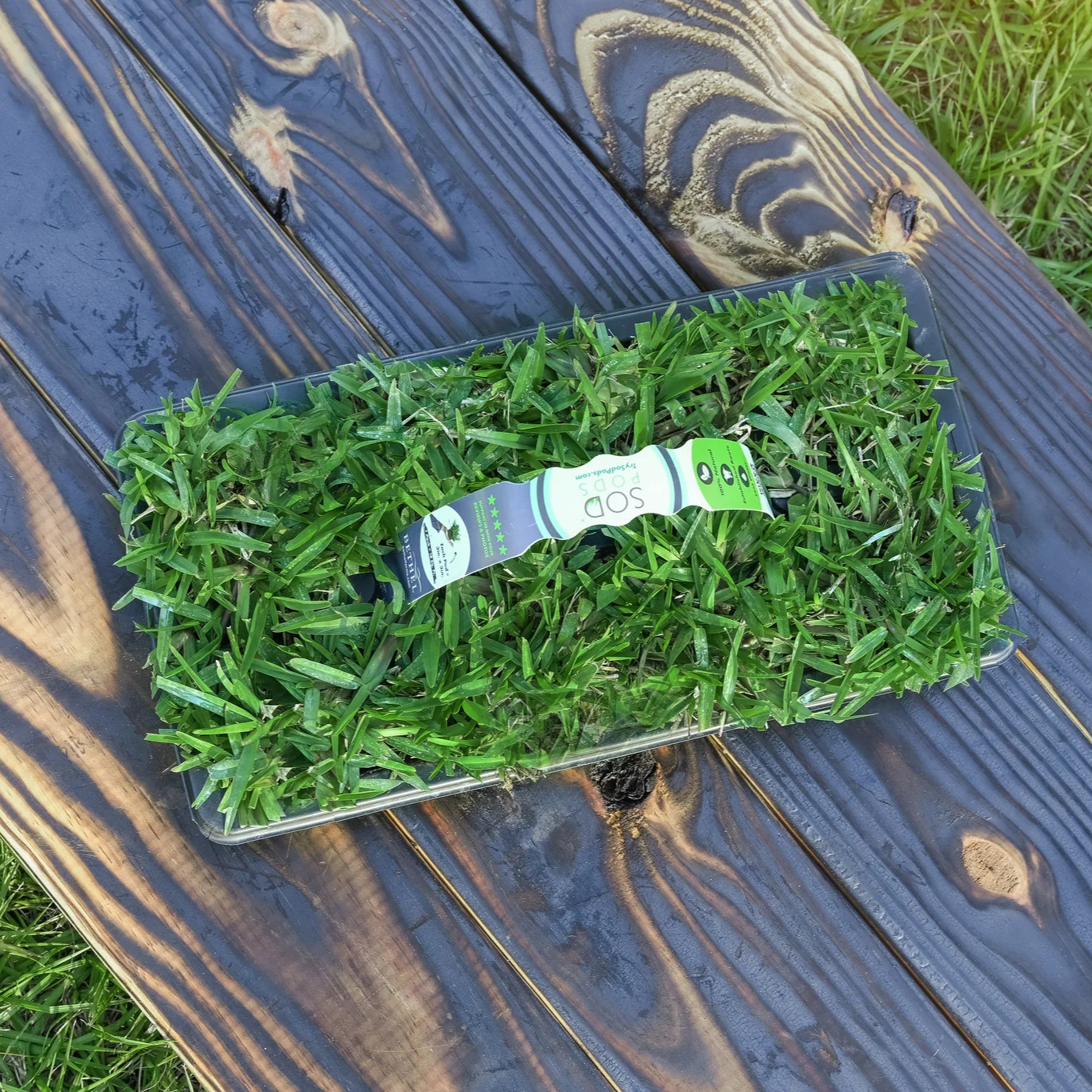 Provista Sod Pod