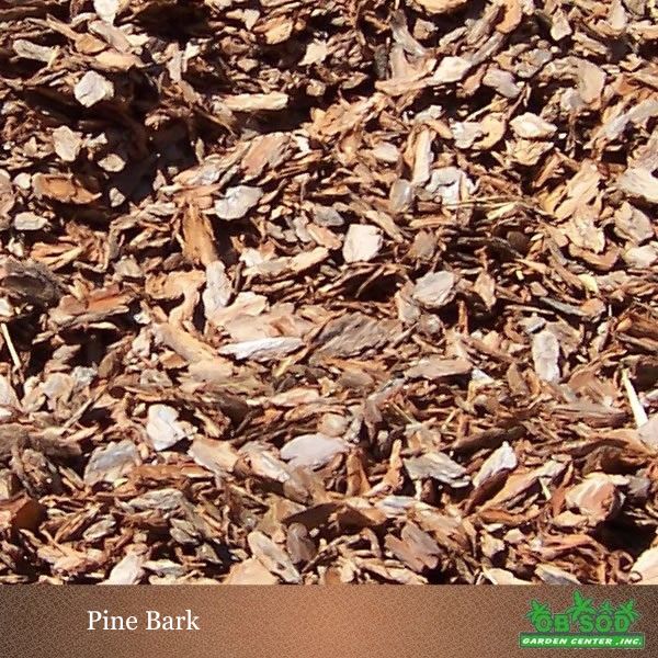 Pine Bark